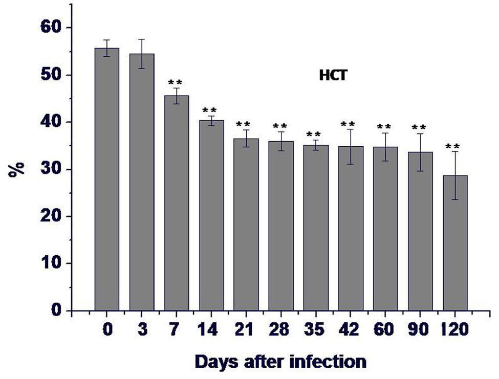 Figure 3 The hematocrit (HCT) values of rats at days after infection. The results are expressed as mean value of four rats ± SD.