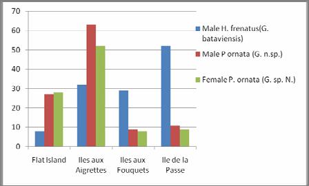 Table 3. Prevalence of G. bataviensis in male H.f. and of G. n.sp. in male and female P. ornata.