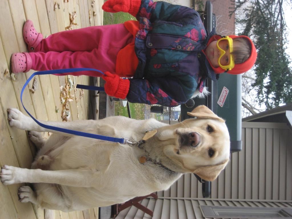 Interviews: Ocean Goetzke, age 12, student Hi, my name is Ocean, I am the owner of this slideshow and picked this breed because I am a proud owner of a Labrador Retriever.