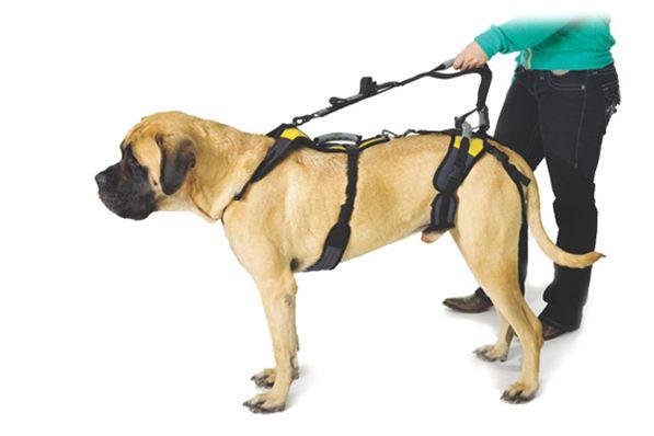 Figure 2: Help Em Up Dog Harness [2016] 2.