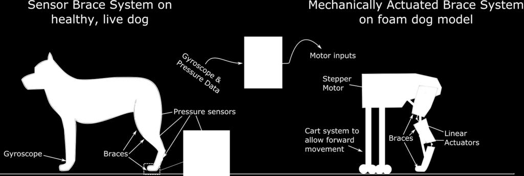of a mechanical cart and sensing system as previously stated in Chapter 2.