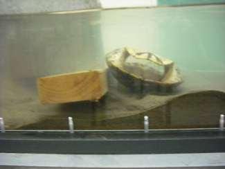 156 Figure 4.5. The log jam trial. A piece of wood (5 cm x 10 cm) is used to model a log jam in the channel.