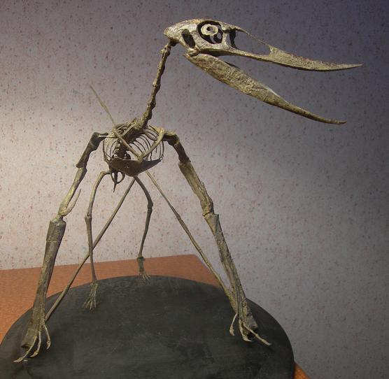 a newly discovered pterosaur from the Hell