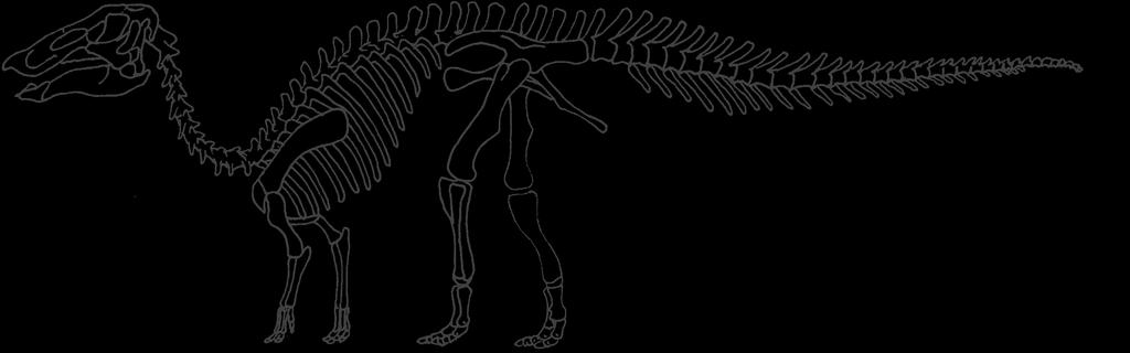 Mosasaur Tethysaurus sp.
