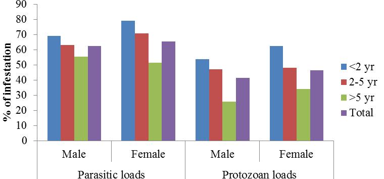 Figure 4: Age and sex prevalence of parasitic and protozoan infestation