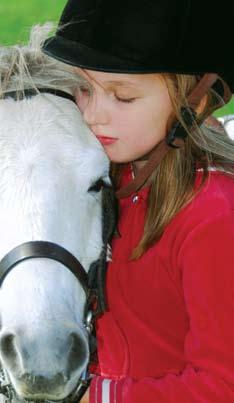 to grieve nd my wnt to memorilize the horse by mking scrpbook, hving memoril service, or burying the horse s shes. It is importnt for prents to inform school officils tht their child hs lost pet.