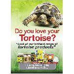Poster: Tortoise PR A3 Poster: