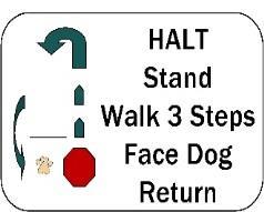200 A, E S 201 A, E S 220 A, E, M S Halt, Stand, Walk 3 Steps, Face Dog, Return: Handler stops, dog sits.