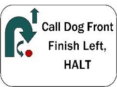 Call Dog Front, Finish Left, Forward: Team stops heeling forward, as handler steps backwards and calls dog to front position, dog sits facing handler.