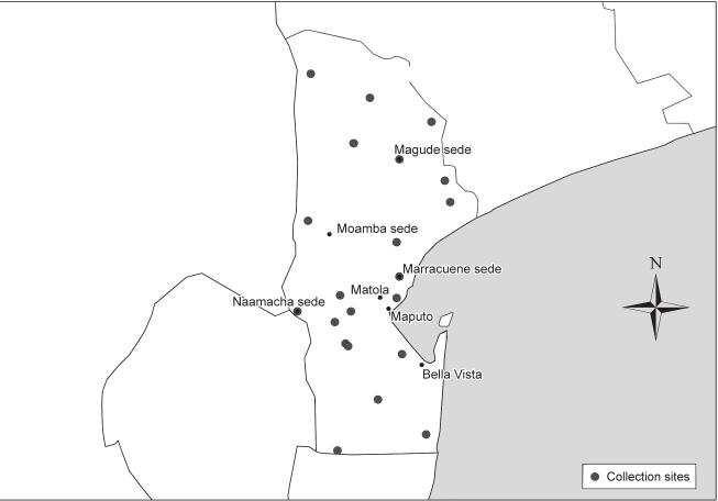 Ixodid tick species infesting cattle and goats in Maputo Province, Mozambique more likely to be Rhipicephalus turanicus. Dias (1991) also lists five tick species that parasitize goats in Mozambique.