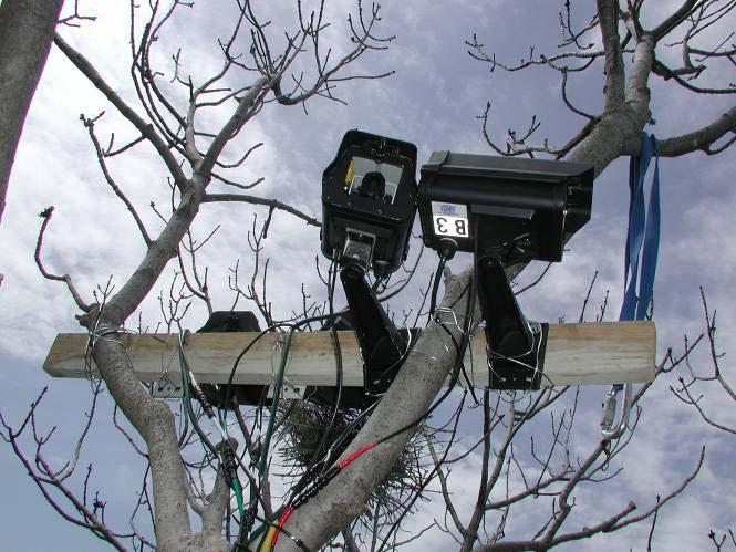 Figure 3 shows the typical setup for video cameras during this study.