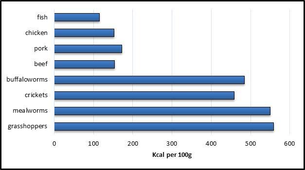 Chart 4: Energy Supply Measured in Kilcalries per 100g f Bdy Mass Differences between Insects and Cnventinal Meat (created by Le Stöger (2016), data retrieved frm Calrie Calculatr: beef, prk,