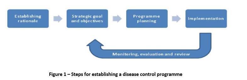 EFFECTIVE SURVEILLANCE Development and implementation of a specific disease control programme that includes objectives, policies and strategies adapted to the full range of national