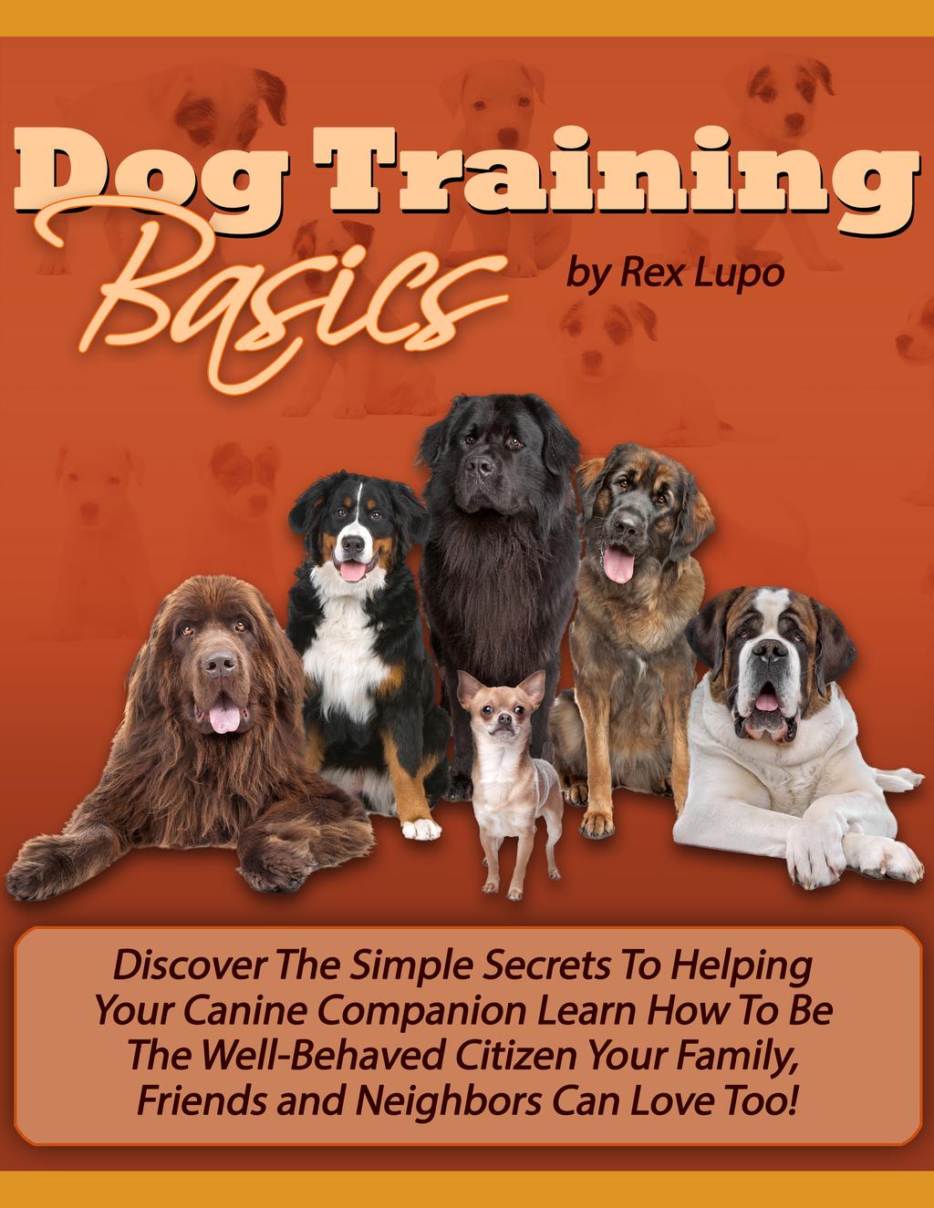 1 Dog Training