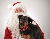 Your Pit campaign sterilizes 6,300 pit bull terriers/mixes in August 5 Make your opinion count Gearing up for Santa Claws It s time to think about the holidays and raising funds during the season of