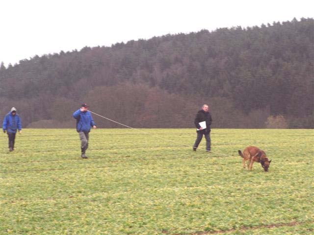 The trial started Friday afternoon with BH and SchH1 dogs. All the tracking was on Saturday. Nordenstamm Hassan (aka Ozzy ) drew track no. 7 and Hannah drew track no. 11.