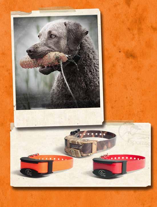 WETLANDHUNTER SDR::AC ADD-A-DOG FIELDTRAINER SDR::AS ADD-A-DOG FIELDTRAINER SDR::AF ADD-A-DOG NOTE: SDR-FS, SDR-FSE, SDR-FH, SDR, SDR-CH, SDR-FC ADD-A-DOG COLLARS ARE NOT COMPATIBLE WITH THIS SYSTEM.