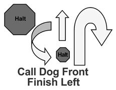 HALT - Side Step Right - HALT With the dog sitting in heel position, the team moves one step directly to the right and halts.