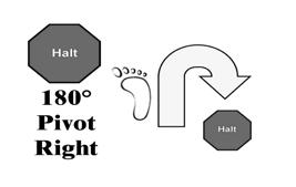 112. HALT - 180 Pivot Right - HALT (49-03-17) With the dog sitting in heel position, the handler commands the dog to heel and the team pivots 180º to the right.