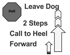 HALT - Pivot Right - Forward With the dog sitting in heel position, the handler commands the dog to heel, then pivots to the right and dog and handler move forward. (Stationary exercise) 117.