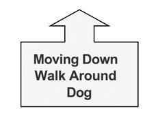 The handler then commands the dog to heel forward from the down position. (Stationary exercise) 202.