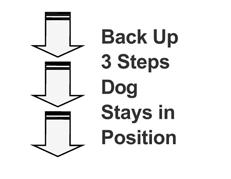 The handler then commands the dog to heel forward from the sit position. (Stationary exercise) 203.