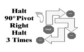 HALT - 90 Pivot Right - HALT (3 Times) With the dog sitting in heel position, the handler commands the dog to heel and the team pivots 90 to the right and halts. This is repeated two more times.