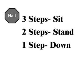 306. HALT - 3 Steps, Sit - 2 Steps, Stand - 1 Step, Down - Forward (43-12-16) The team halts with the dog sitting in heel position to begin the exercise.