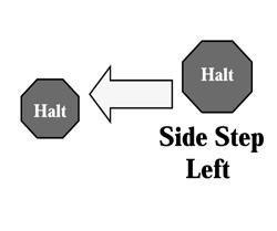 Handler takes three steps forward and commands the dog to down. Handler then takes two steps forward and commands the dog to sit, then one step forward and commands the dog to stand.