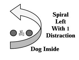 Spiral Right With 1 Distraction - Dog Outside (43-12-16) This exercise requires two pylons (one placed at each end) and one distraction placed in the middle, all placed in a straight line with spaces