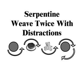 315. Serpentine - Weave Twice With Distractions (43-12-16) This exercise requires two pylons (one placed at each end) and two distractions placed in the middle in a straight line with spaces between