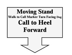 320. Moving Sit - Walk to Call Marker - Turn Facing Dog - Call to Heel - Forward (85-06-17) While moving forward and without pause or hesitation, the handler commands the dog to sit, as the handler
