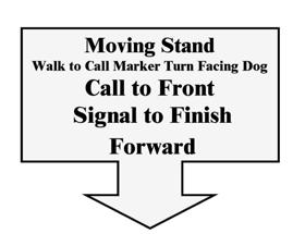 As the dog reaches heel position, the handler moves forward before the dog sits. The dog can return to heel either to the left or right. This exercise is a change of direction.