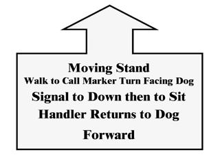 Moving Stand - Walk to Call Marker - Turn Facing Dog - Call to Heel - Forward (85-06-17) While moving forward and without pause or hesitation, the handler commands the dog to stand, as the handler 
