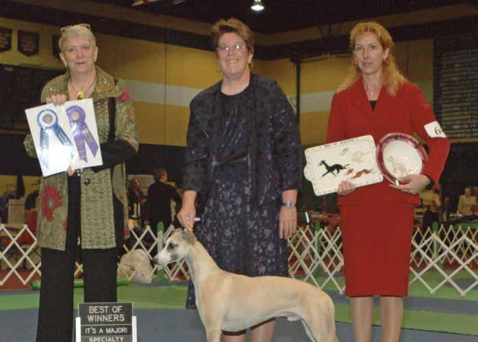 Calebs First Major! Ch. Classic Streets of Pure Gold, CRX2, OTRM, DPC x Ch.