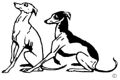 The Italian Greyhound Club Founded 1900 SCHEDULE OF 19 CLASS UNBENCHED OPEN SINGLE BREED SHOW Held under Kennel Club Limited Rules and Regulations Kindly sponsored by ARDEN GRANGE Baginton Village