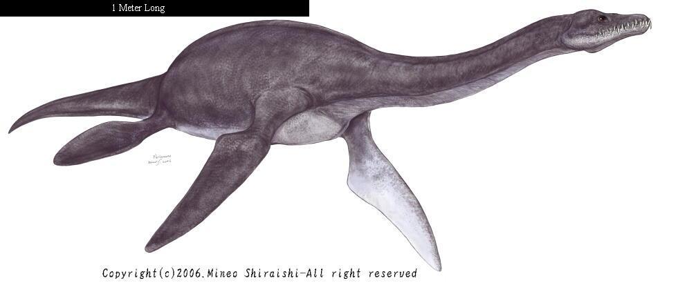 Job 41: 1-34 This appears to be a plesiosaurus or at