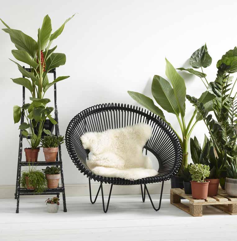 The supple yet sturdy rattan lets you relax in luxury while