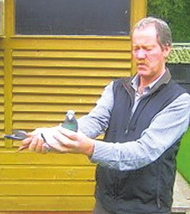 Jimmy has been winning at the highest level for over half a century and as the years have passed, has raced a number of fine individual pigeons.