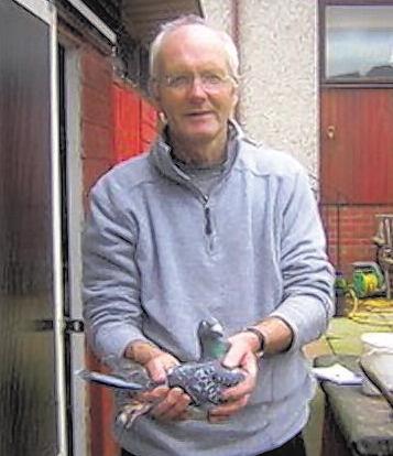 Over the years Dennis has raced a number of top-quality pigeons and has scored prominently from the Classics on an ongoing basis.