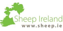 Irish sheep breeding Current status and future plans February 2014 Noirin McHugh 1, Donagh Berry 1, Sinead McParland 1, Eamon Wall 2 and Thierry Pabiou 2 1