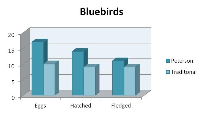 Bluebirds were the most success of the three species during this season, producing the largest number of eggs and chicks while escaping predation.