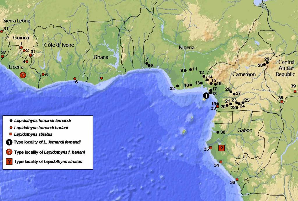 FIGURE 15. Distribution of L. fernandi: 1= Guinea: Ziama Forest (Böhme 1993), 2= Guinea: N Zebela (Chabanaud 1921), 3= Guinea: Mount Nimba (Grandison 1956, Angel et al.