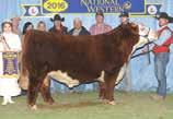 4 53-0.020-0.18 0.42 26 20 23 28 Top end genetics at its pinnacle with this powerful straight Line One mating.