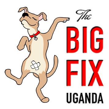 Reducing trauma through the healing power of the human-dog bond OVERVIEW The Comfort Dog Project, a program of The BIG FIX Uganda, promotes powerful dog-guardian companionship to facilitate the