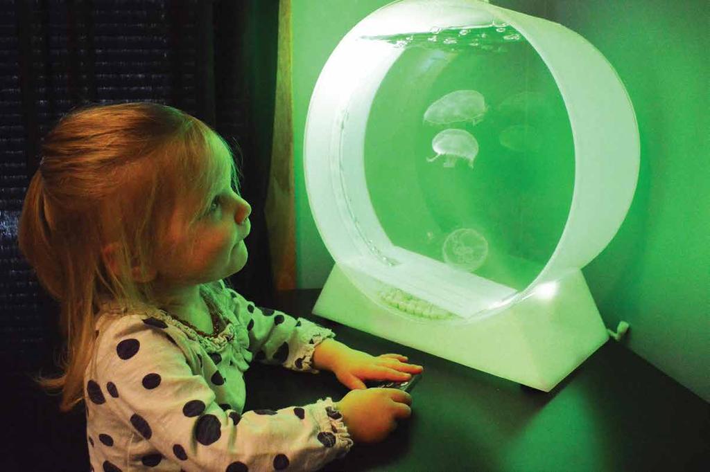 Not-quite-two-years old, Audrey Pedersen adjusts the LED lighting in her family s six-gallon Jellyfish Art tank, which houses three Moon Jellyfish (Aurelia aurita). by Matt Pedersen with Dr.