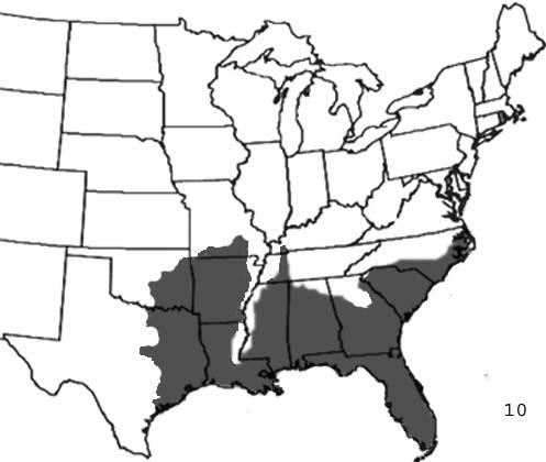 256 Wozniak, Wisser, and Schwartz Map 10. The distribution range of the North American pygmy rattlesnake (Sistrurus miliaris).