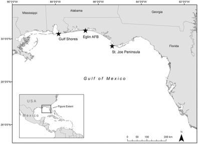 The goal of this study was to examine loggerhead movements and use of in-water habitat between nesting events, information important for determining the species critical habitat needs.