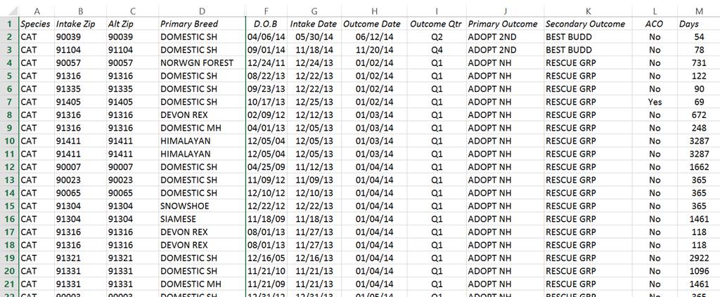 Pivot Table Example Cat Intake & Outcomes Nearly 50,000 rows of outcome data becomes.