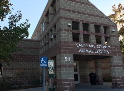 Salt Lake County Animal Services 10K sq ft 88 dogs kennels all indoor 65 cat cages